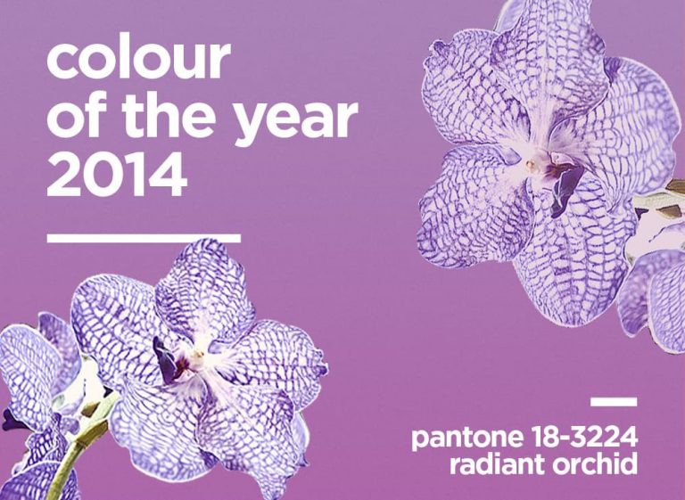 colourof2014