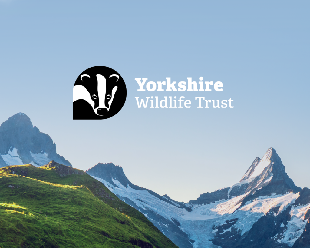 YWT-with-FarnBeyond-Really-Good-Branding
