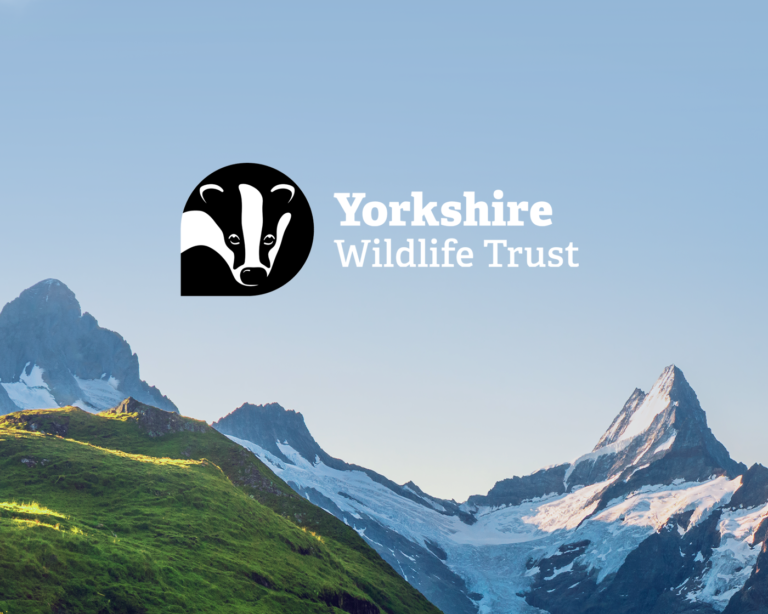 YWT-with-FarnBeyond-Really-Good-Branding