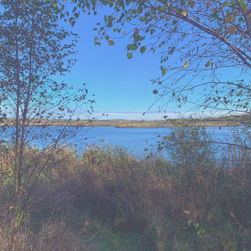 Big Walk Wildlife trust
