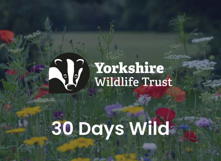 30 days wild