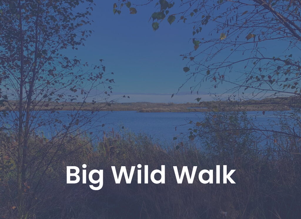 Big Wild Walk
