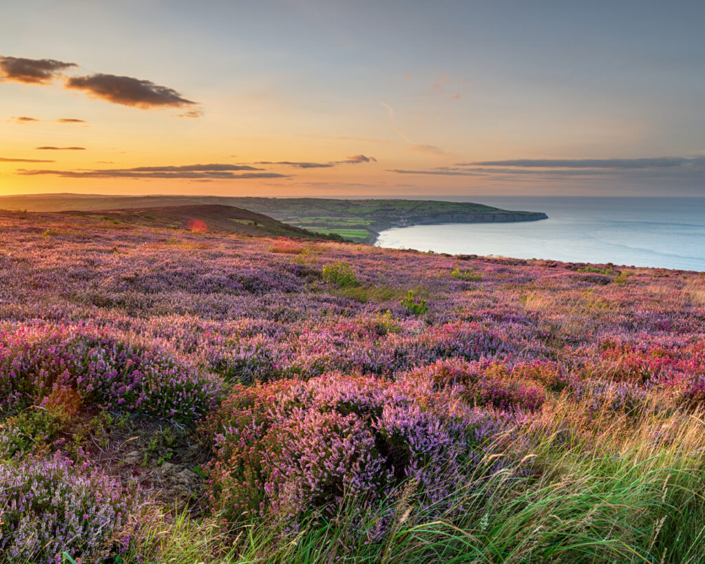 Our Yorkshire