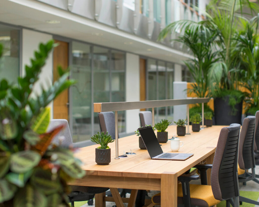 Our Offices