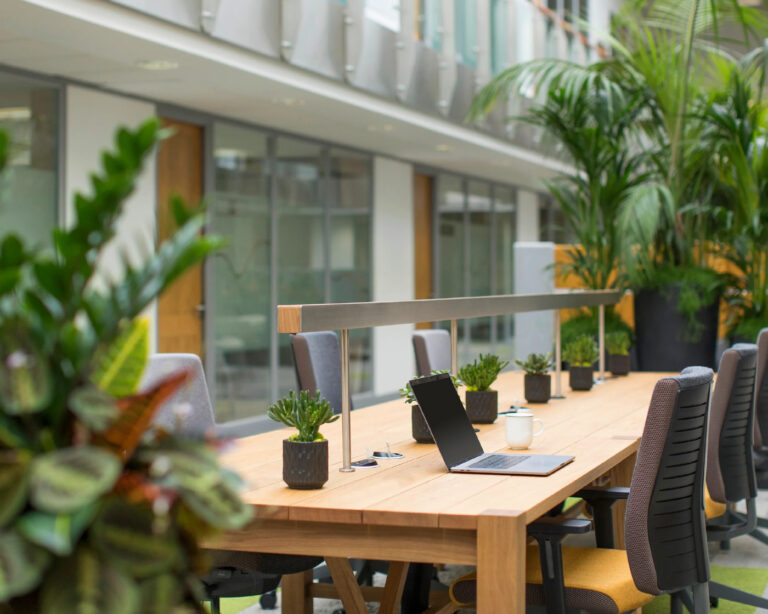 Our Offices