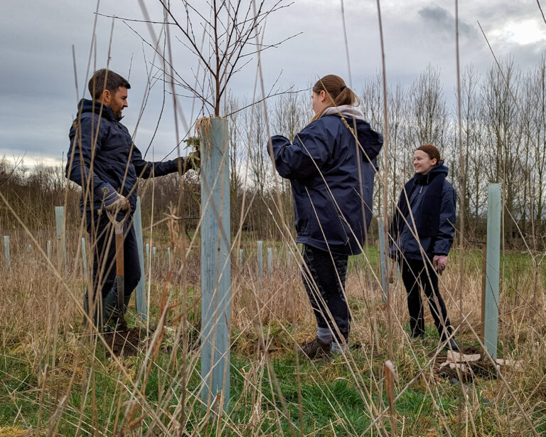 Tree Planting