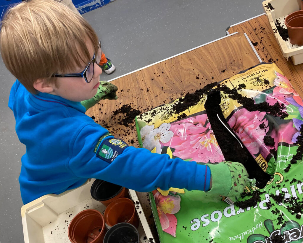 Growing Seeds