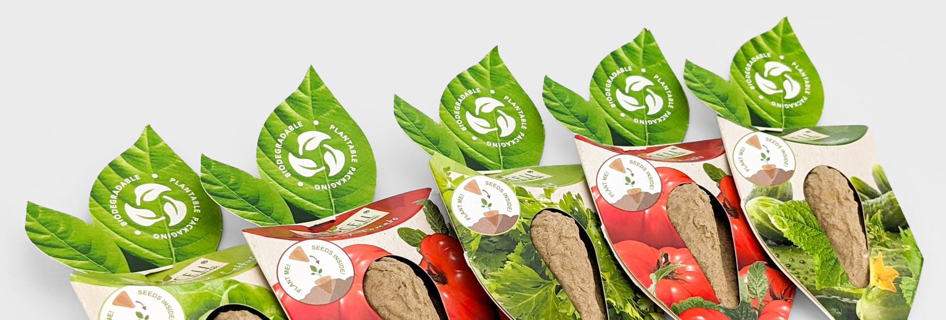 Die Cutting, Creasing, Perforation & Folding